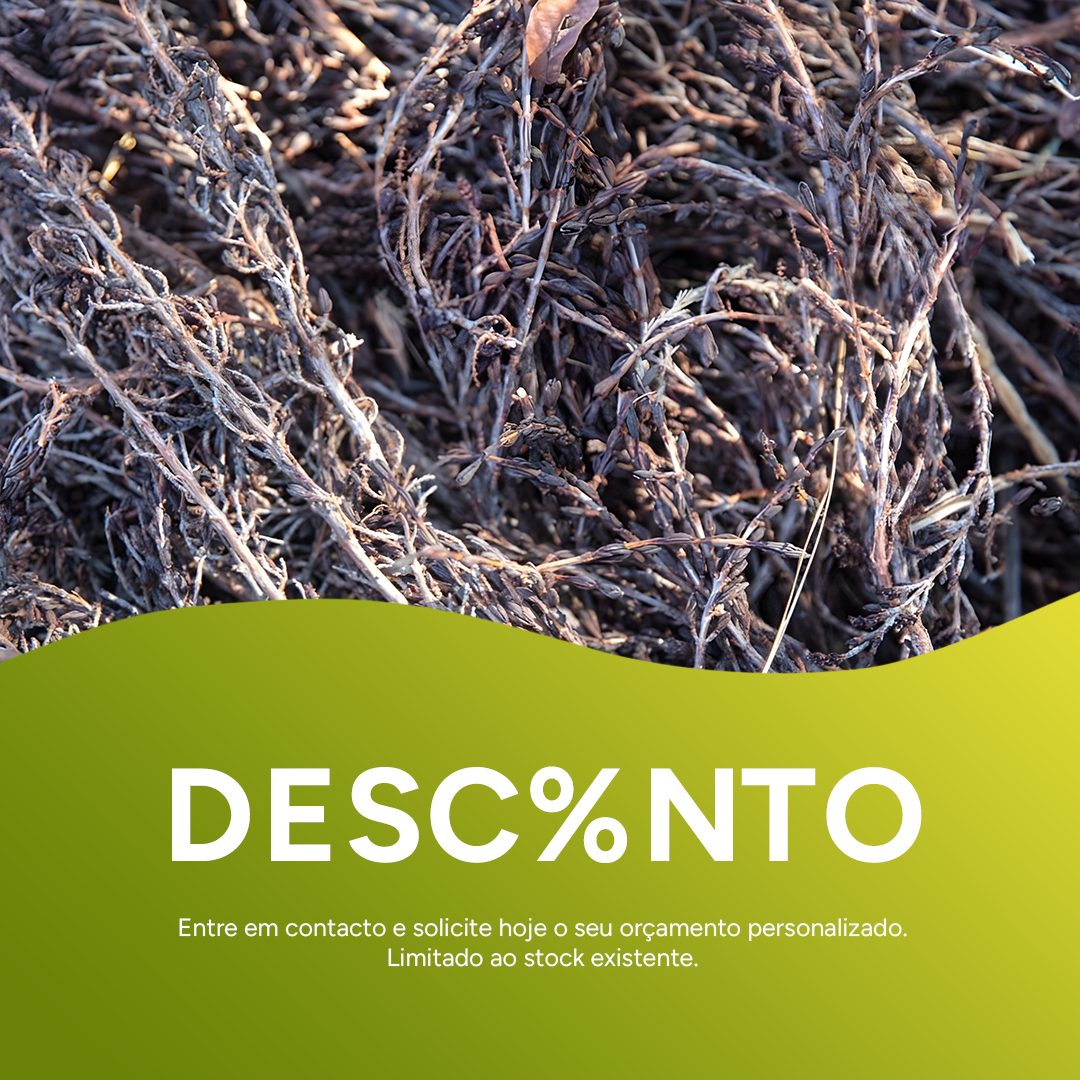 Óleo Vegetal Biológico Ximenia